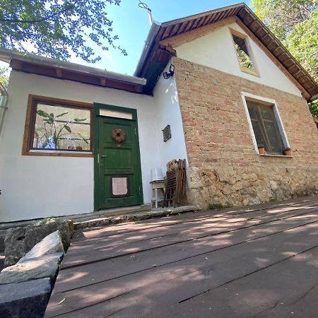Rustic Cottage & Garden Retreat On Buda Hilltop Budapeşte Dış mekan fotoğraf