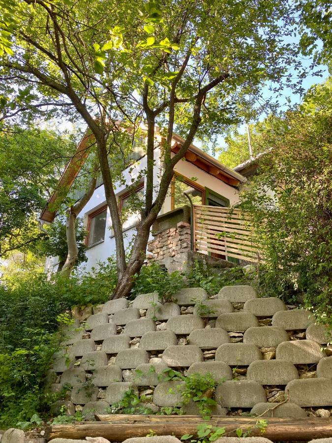 Rustic Cottage & Garden Retreat On Buda Hilltop Budapeşte Dış mekan fotoğraf